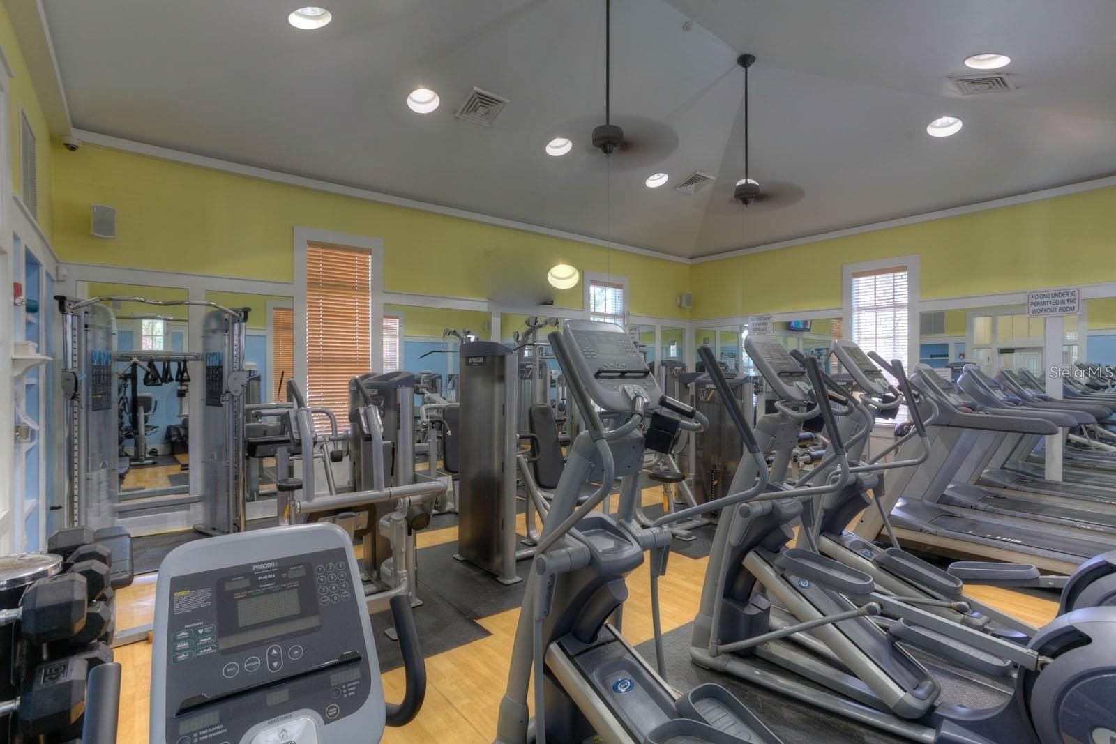 16033 MULBERRYPARK CIR, LITHIA, FL, 33547