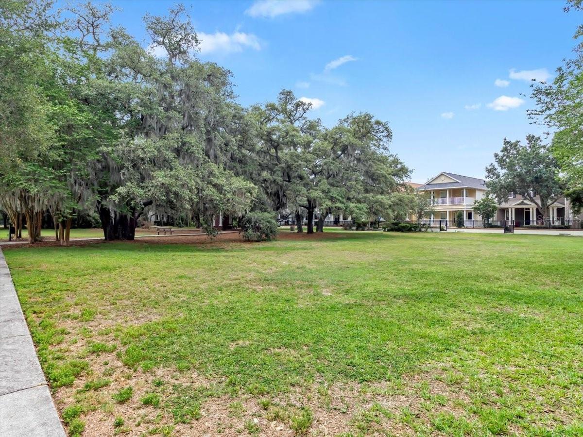 16033 MULBERRYPARK CIR, LITHIA, FL, 33547