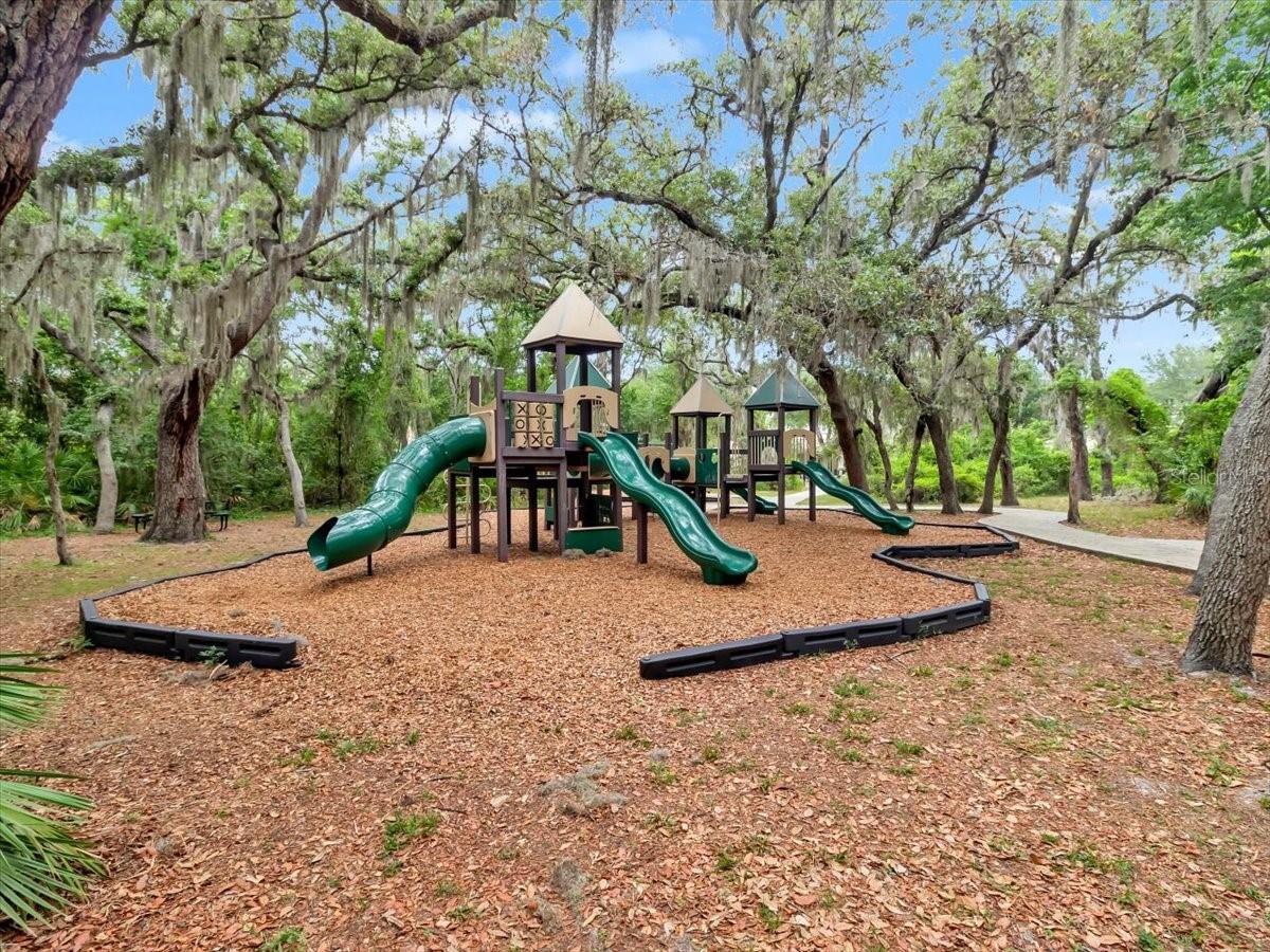 16033 MULBERRYPARK CIR, LITHIA, FL, 33547