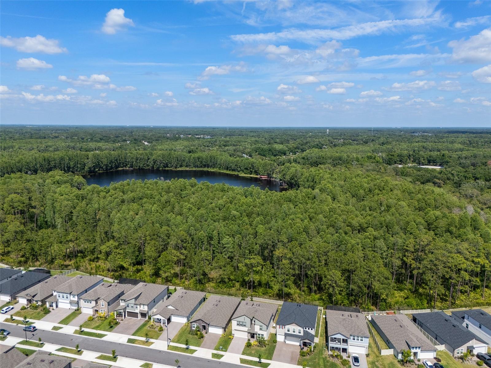 18242 SERENE LAKE LOOP, LUTZ, FL, 33548
