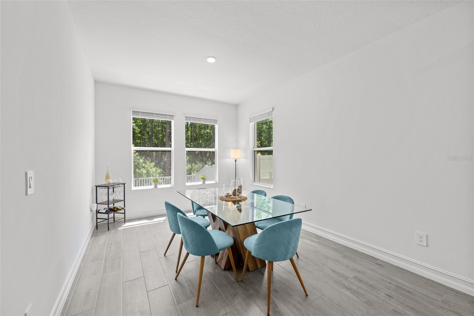 18242 SERENE LAKE LOOP, LUTZ, FL, 33548