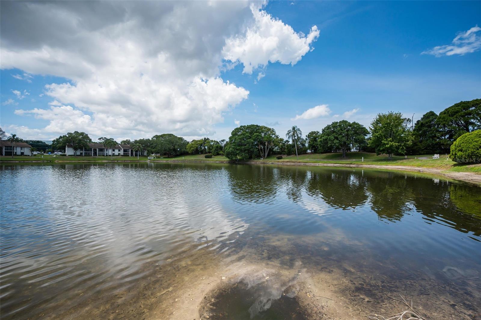1870 PINE RIDGE WAY W #G1, PALM HARBOR, FL, 34684