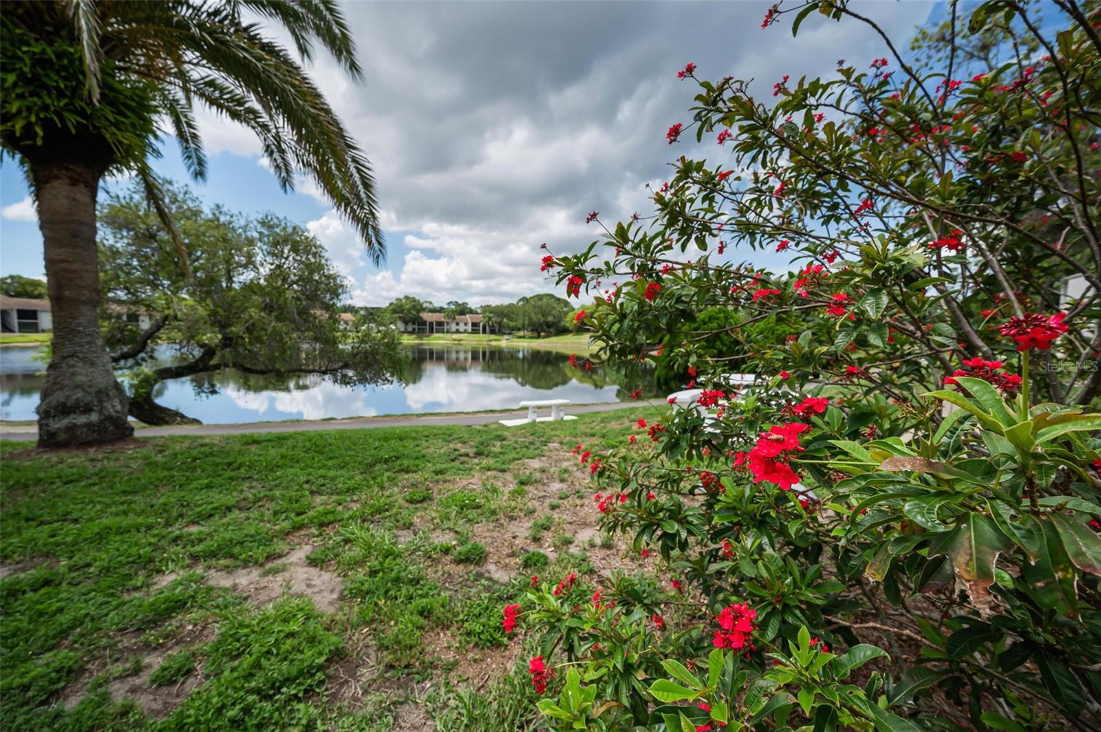 1870 PINE RIDGE WAY W #G1, PALM HARBOR, FL, 34684