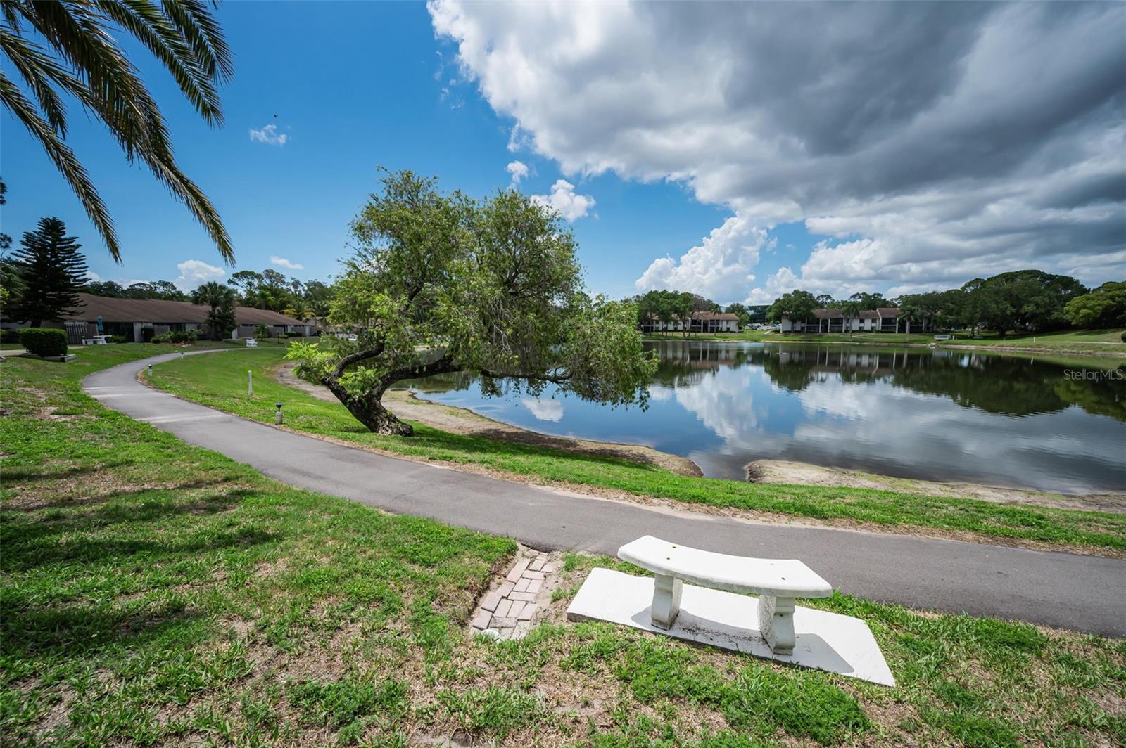 1870 PINE RIDGE WAY W #G1, PALM HARBOR, FL, 34684
