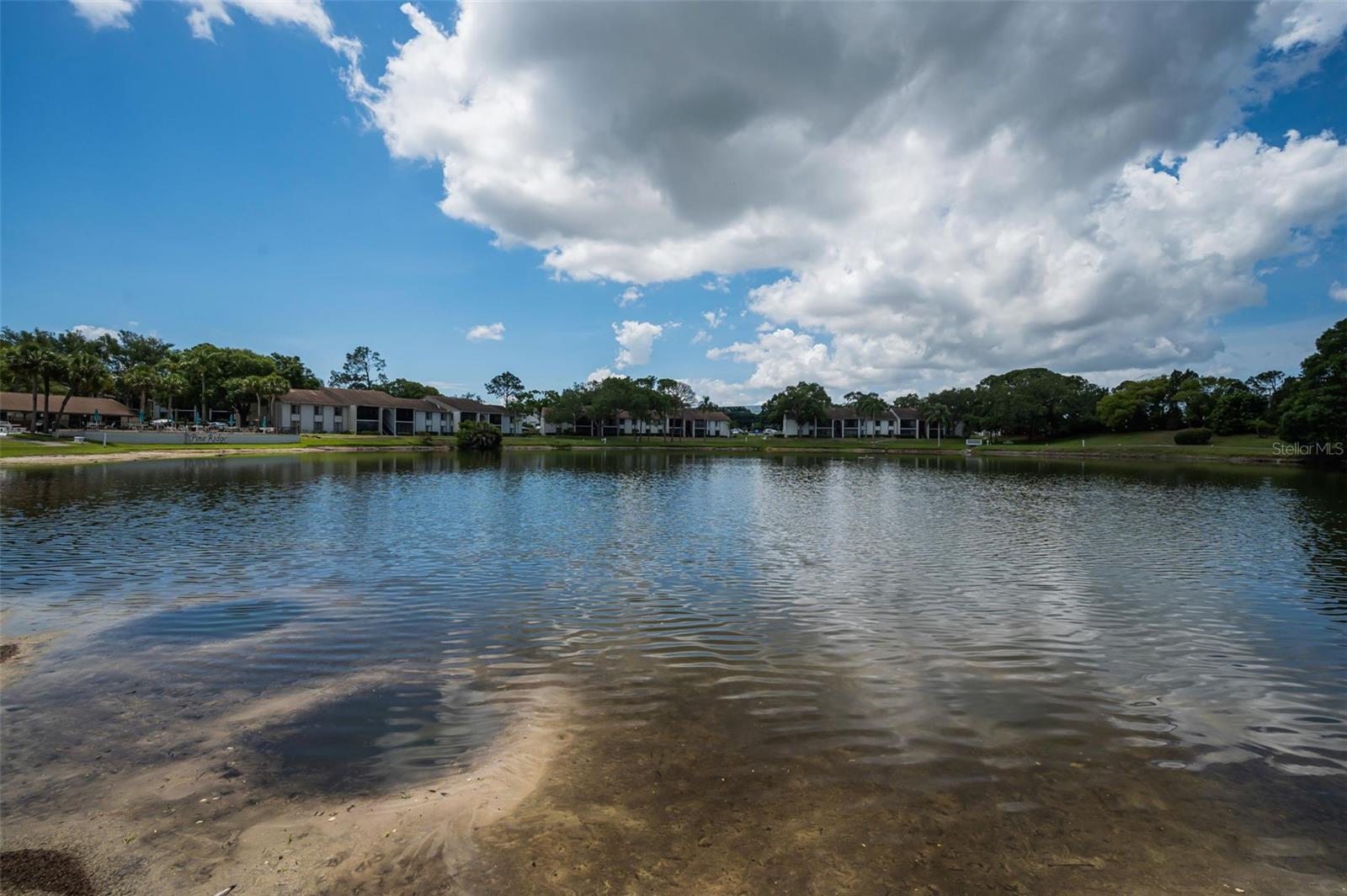 1870 PINE RIDGE WAY W #G1, PALM HARBOR, FL, 34684