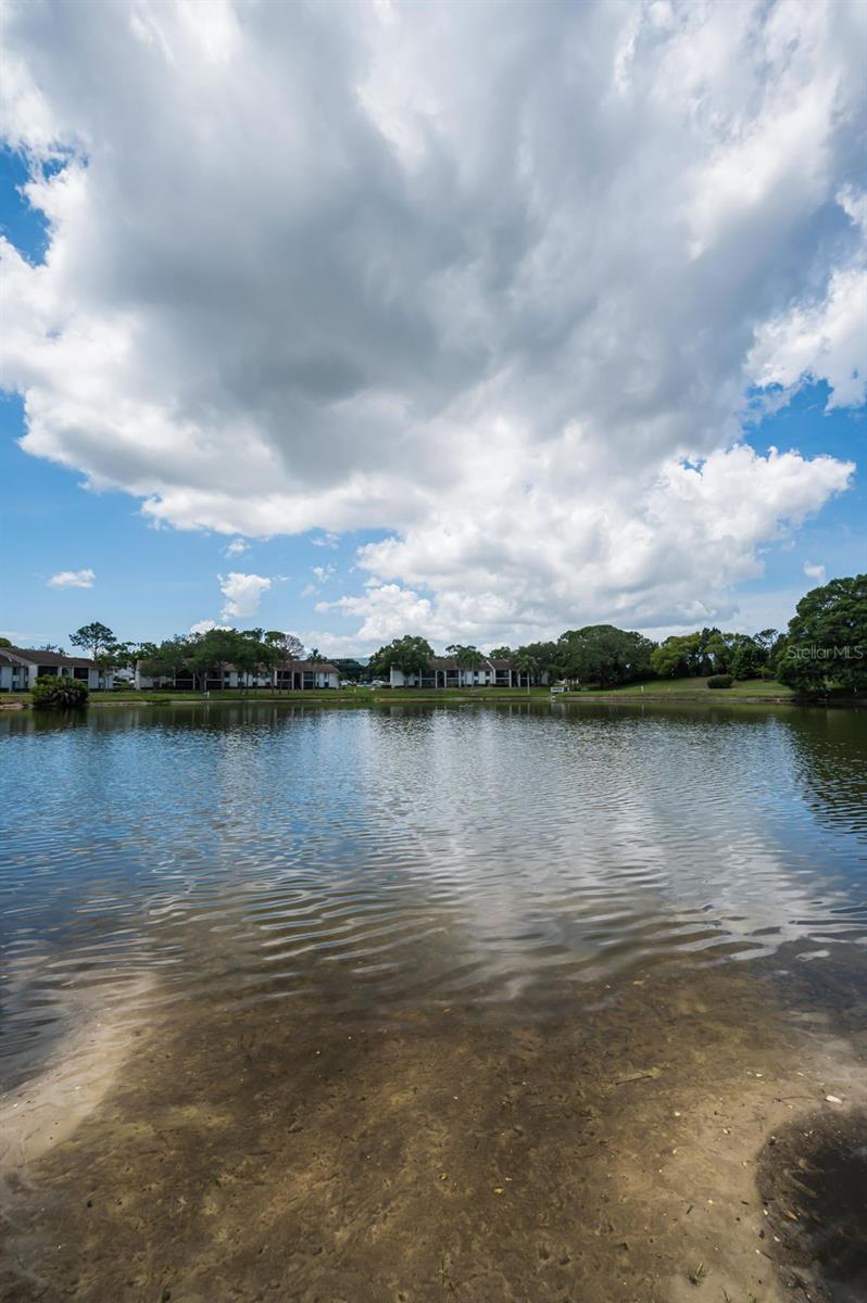 1870 PINE RIDGE WAY W #G1, PALM HARBOR, FL, 34684