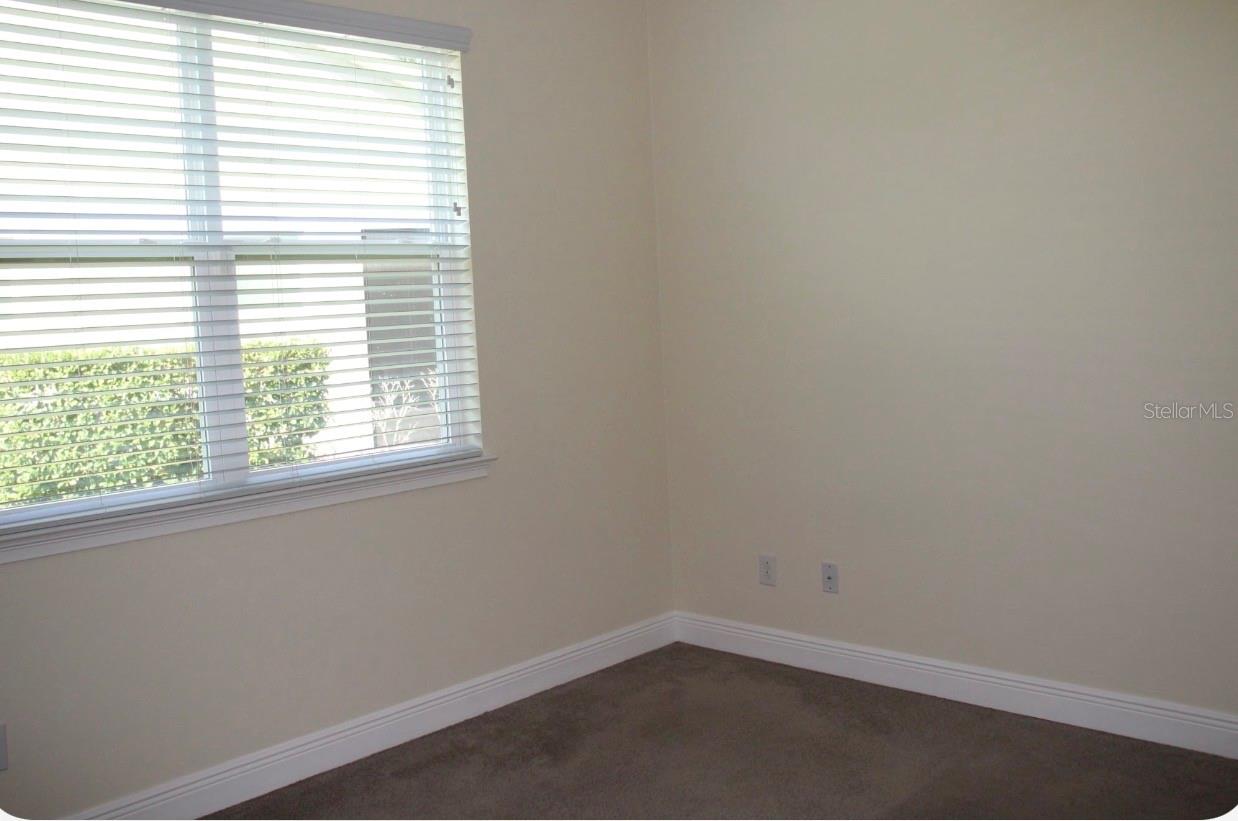 6206 SCARLET DARTER WAY, TAMPA, FL, 33625