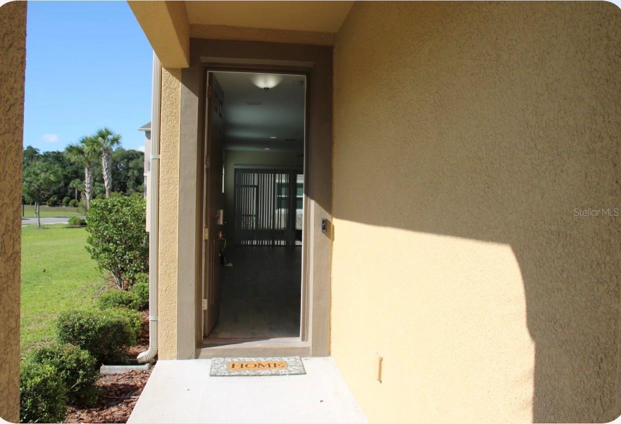 6206 SCARLET DARTER WAY, TAMPA, FL, 33625