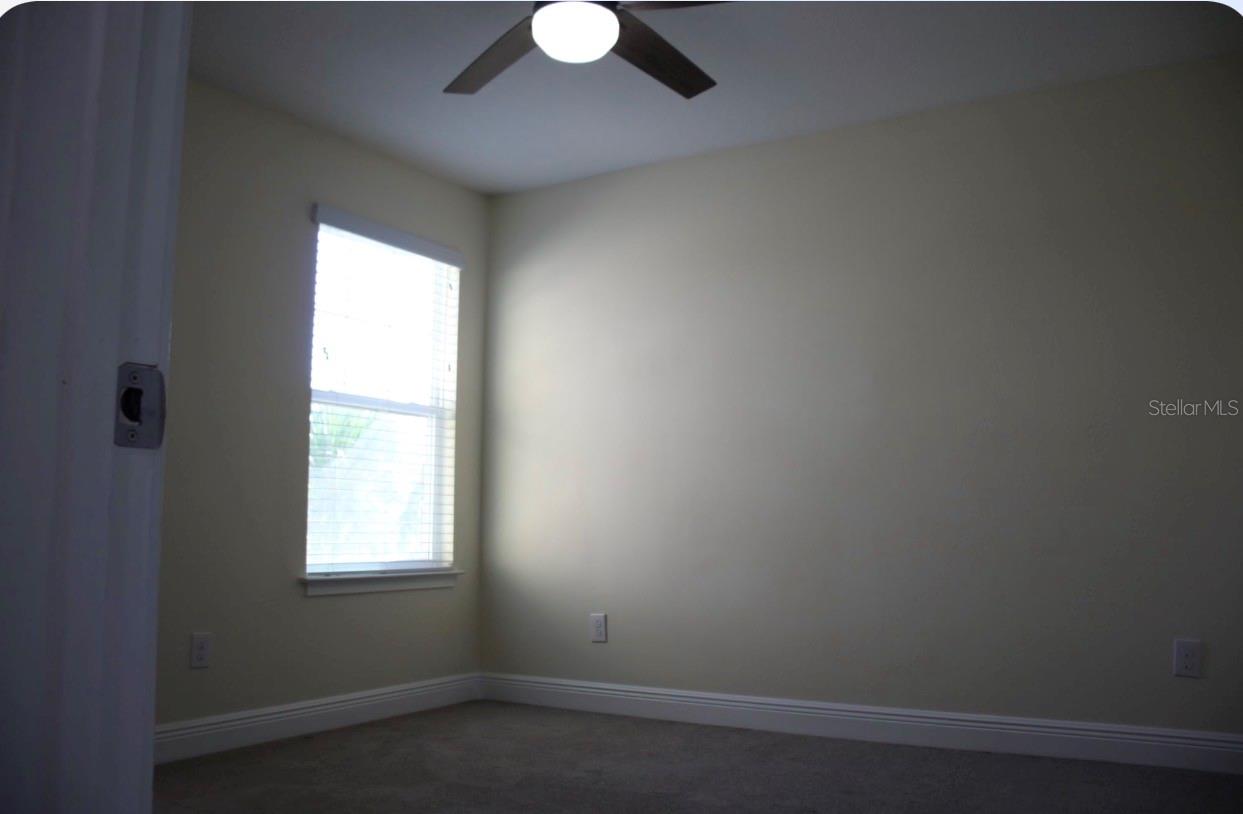 6206 SCARLET DARTER WAY, TAMPA, FL, 33625