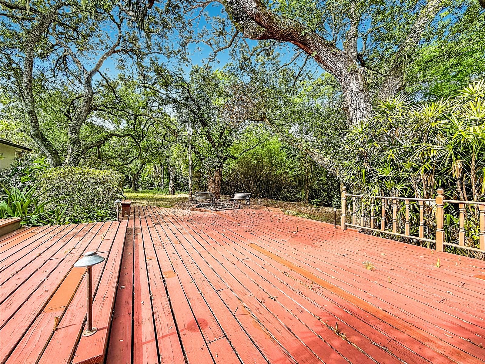 2065 BRADY DR, DUNEDIN, FL, 34698