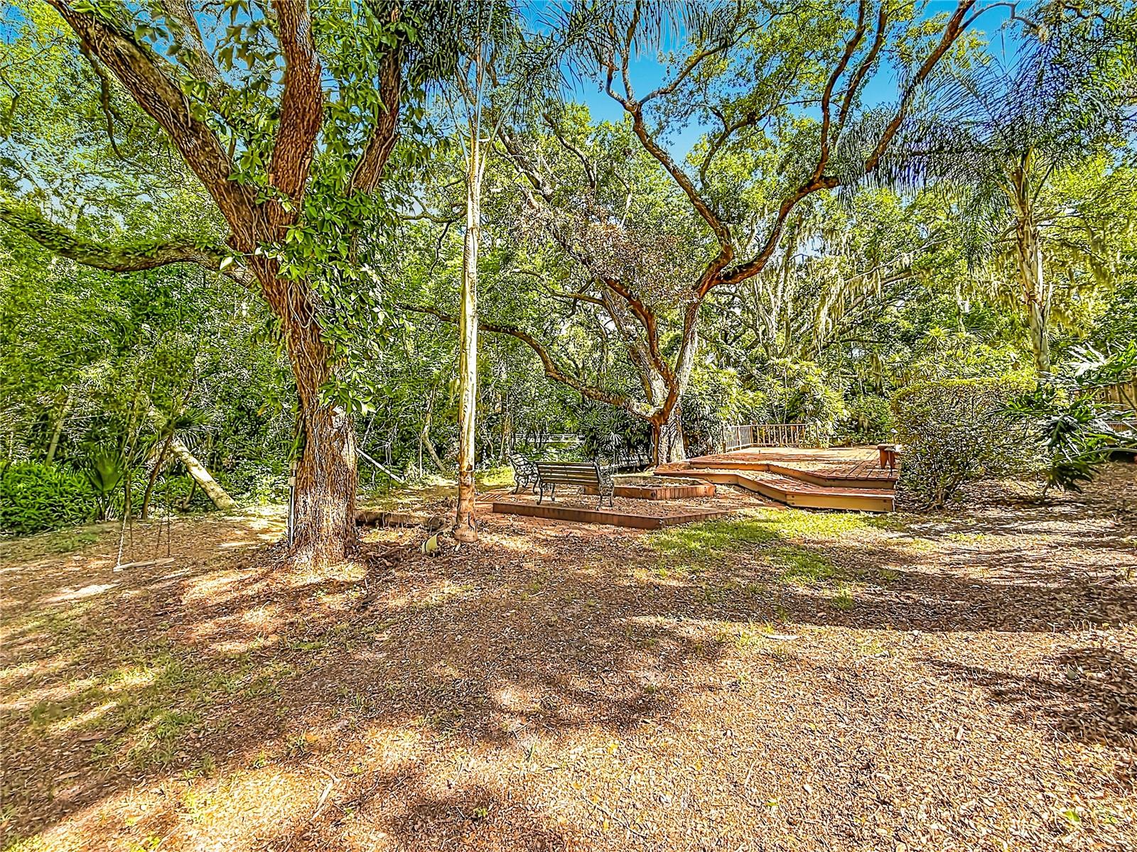 2065 BRADY DR, DUNEDIN, FL, 34698