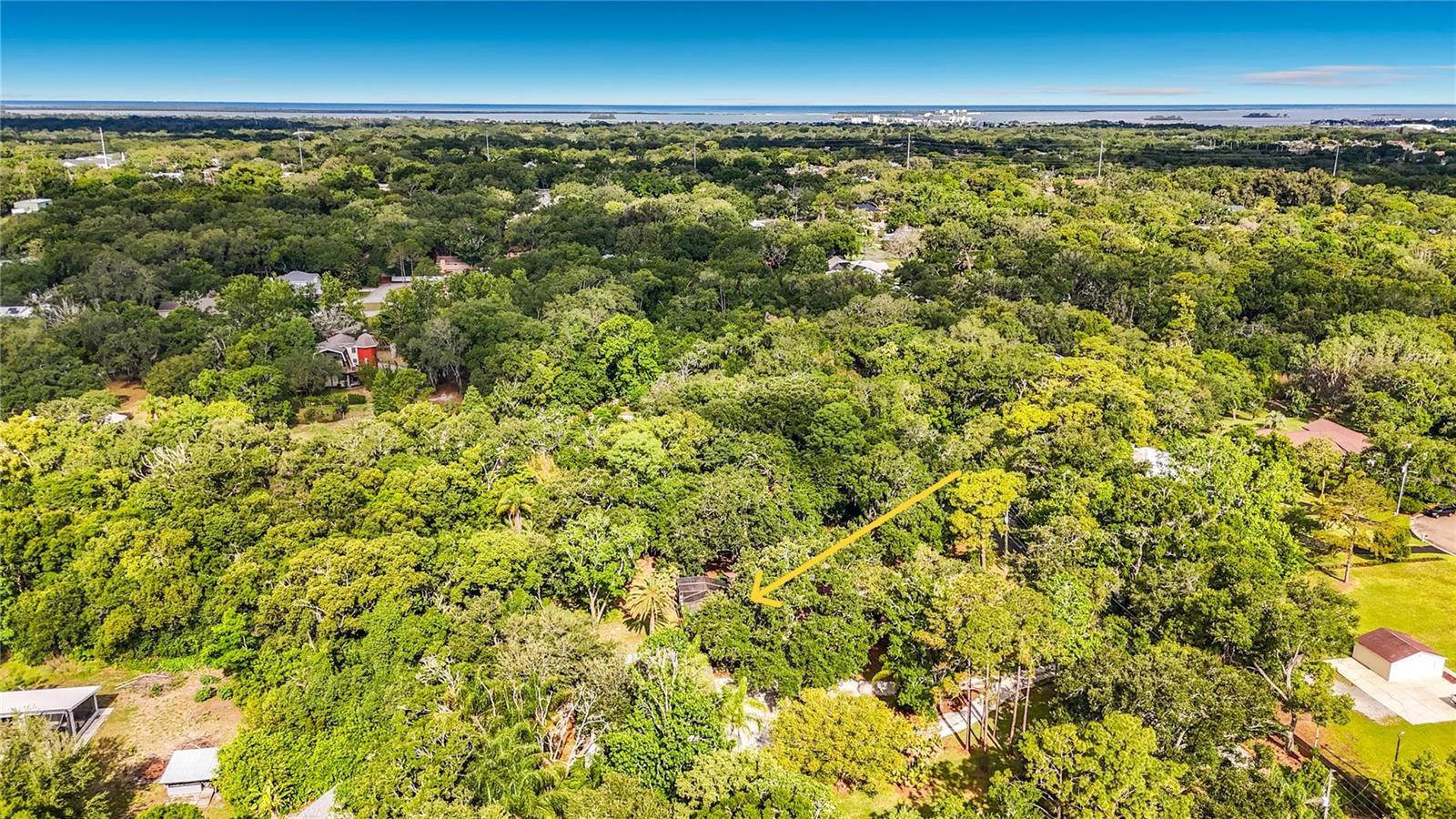 2065 BRADY DR, DUNEDIN, FL, 34698