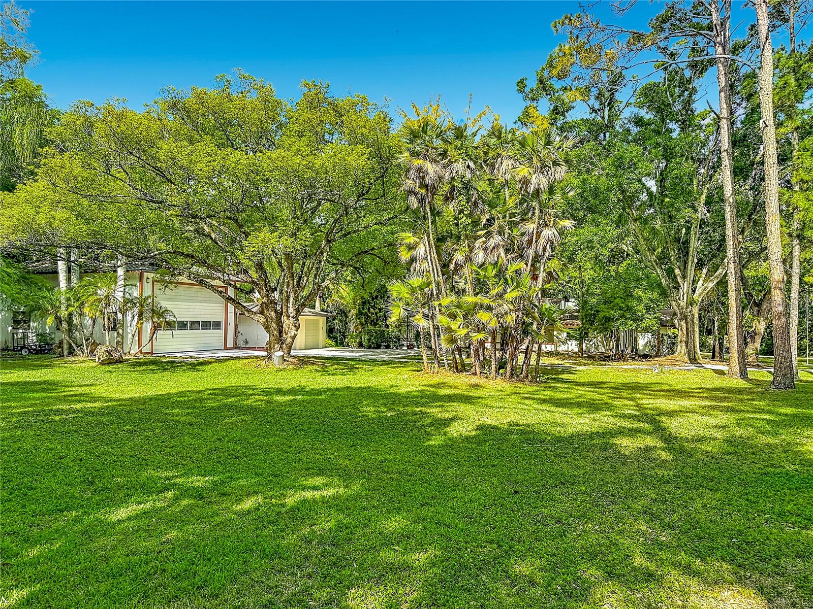 2065 BRADY DR, DUNEDIN, FL, 34698