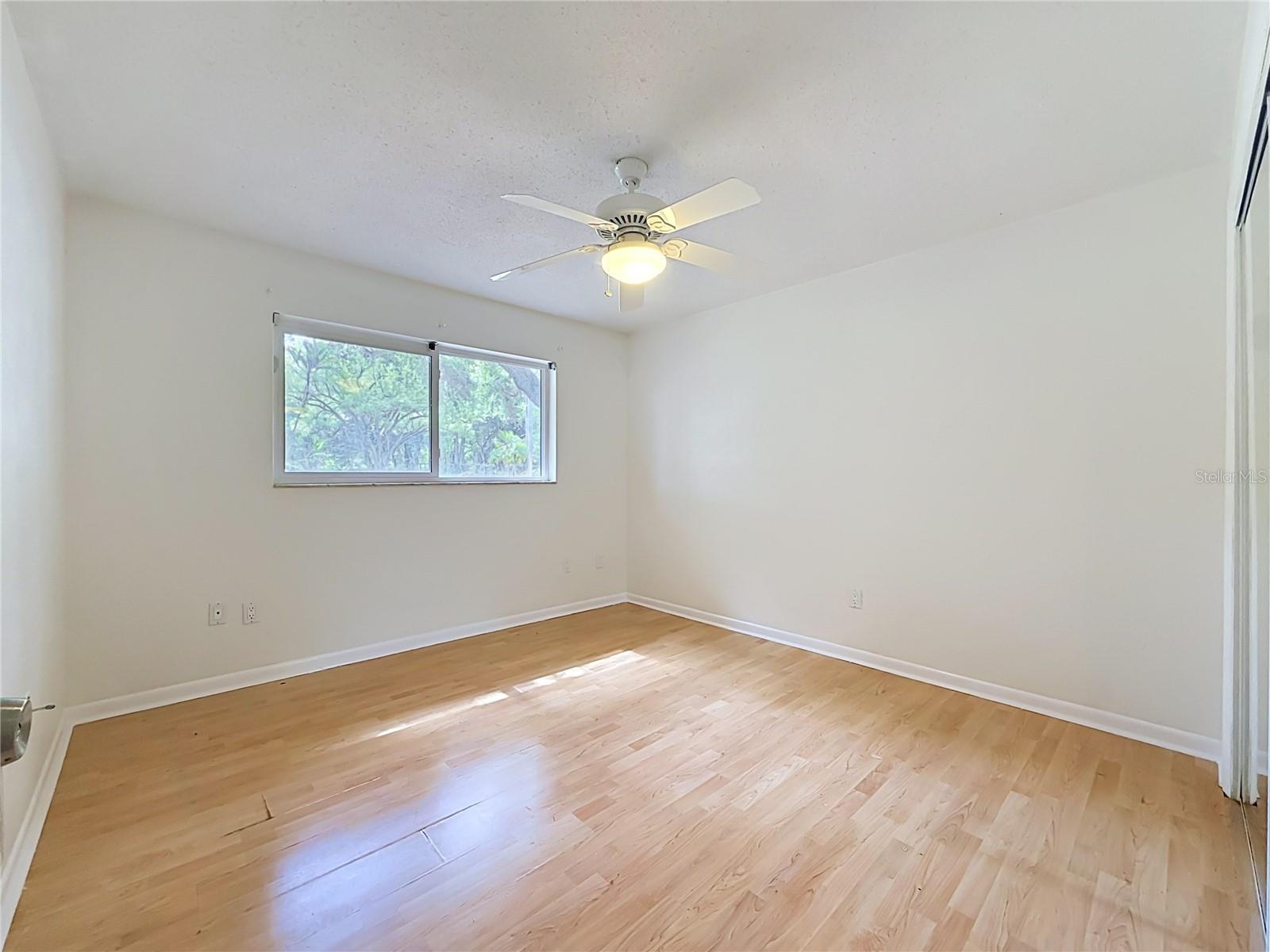 2065 BRADY DR, DUNEDIN, FL, 34698