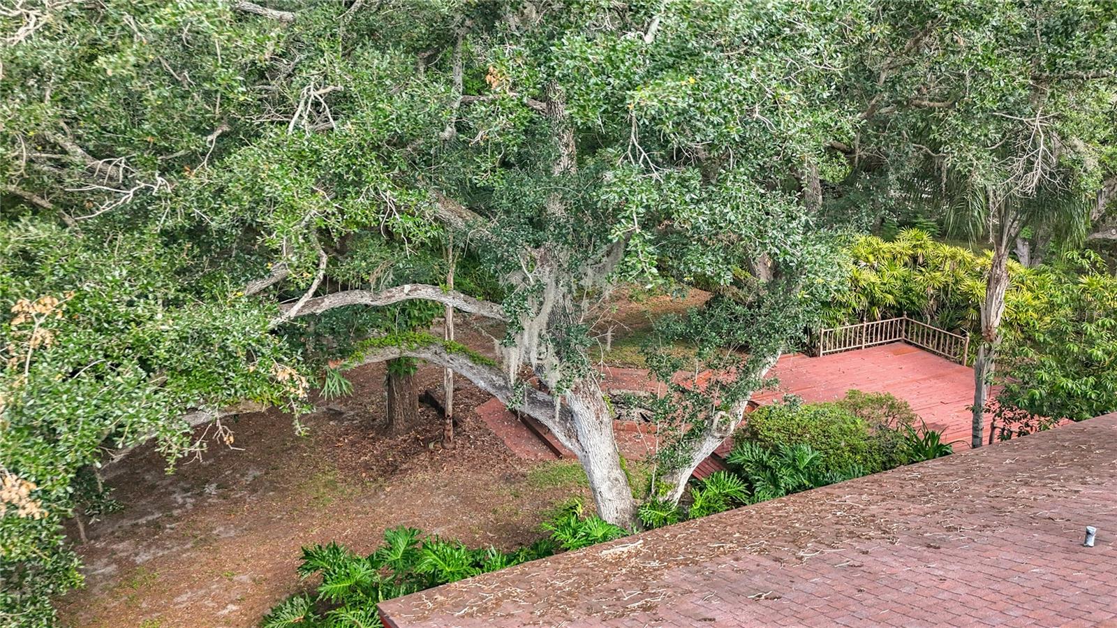 2065 BRADY DR, DUNEDIN, FL, 34698