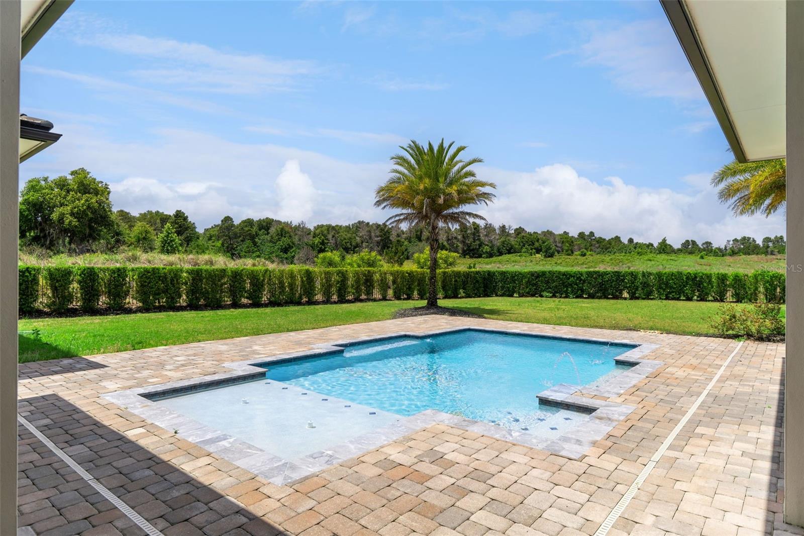 16733 BOLSENA DR, BELLA COLLINA, FL, 34756