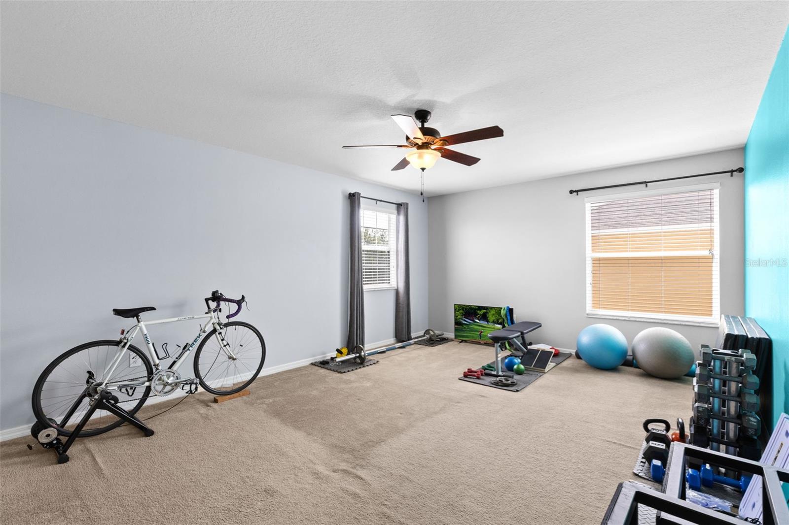 5521 SHASTA DAISY PL, LAND O LAKES, FL, 34639