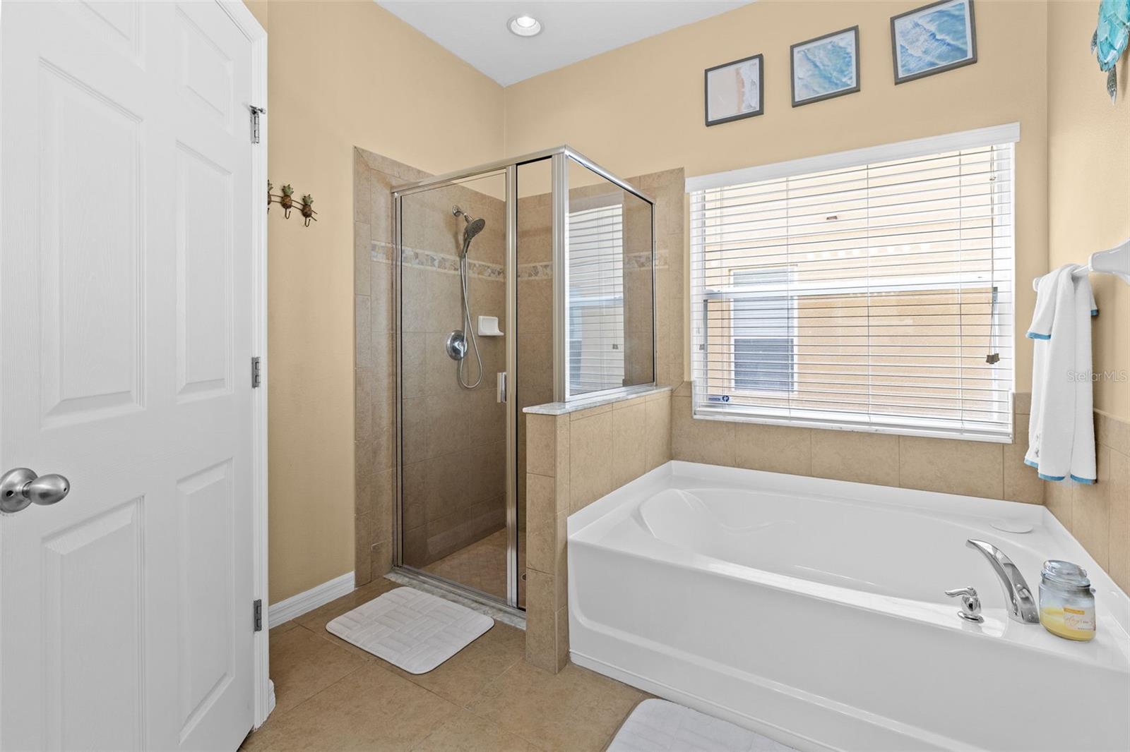 5521 SHASTA DAISY PL, LAND O LAKES, FL, 34639