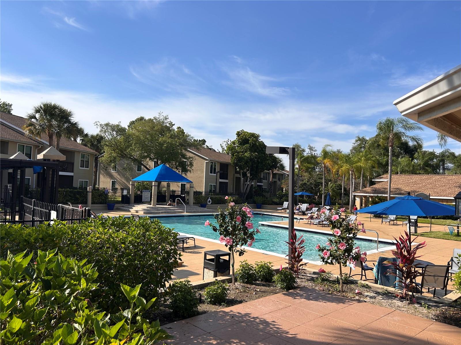 4005 CROCKERS LAKE BLVD #24, SARASOTA, FL, 34238