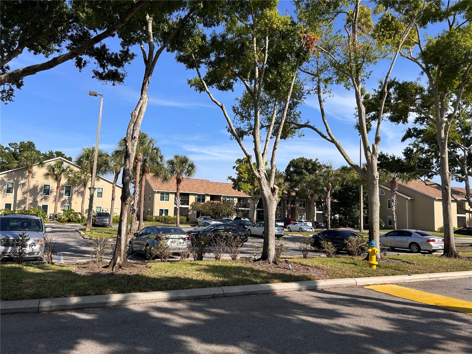 4005 CROCKERS LAKE BLVD #24, SARASOTA, FL, 34238