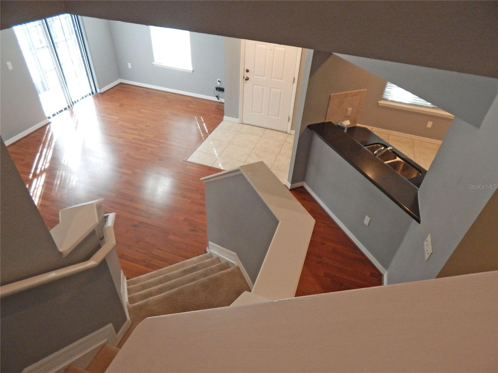 16411 KINGLETRIDGE AVE, LITHIA, FL, 33547