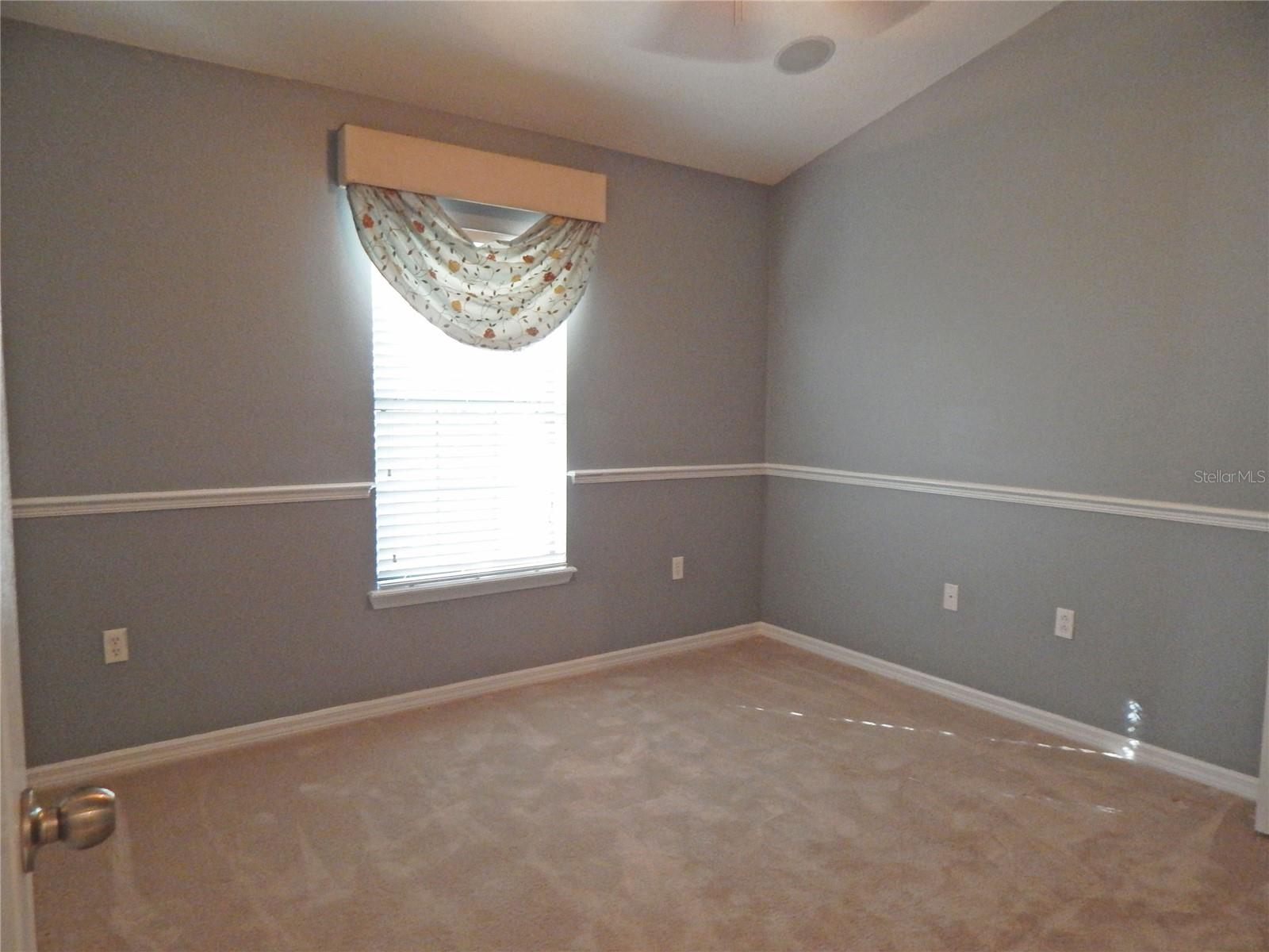 16411 KINGLETRIDGE AVE, LITHIA, FL, 33547