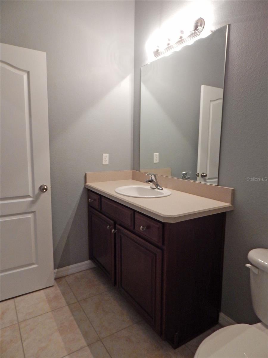 16411 KINGLETRIDGE AVE, LITHIA, FL, 33547