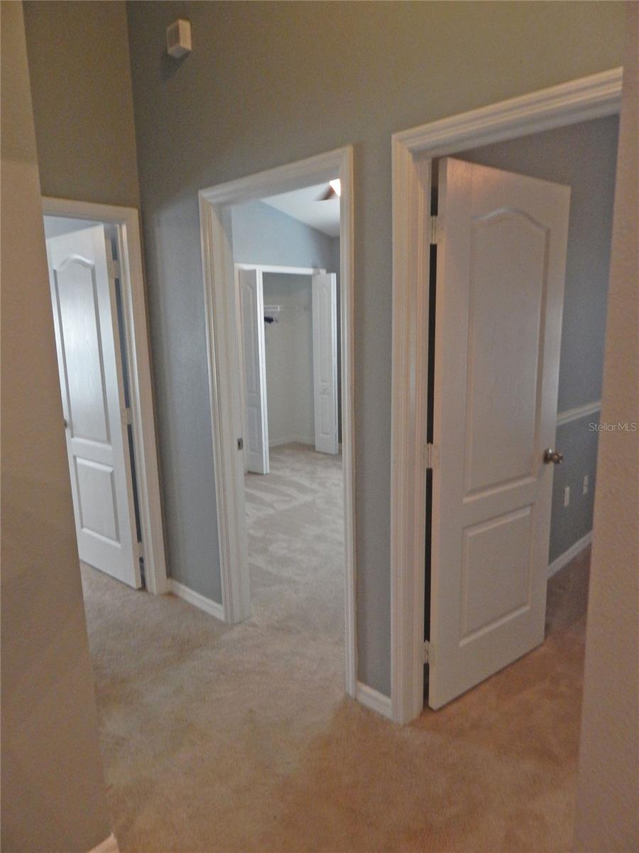 16411 KINGLETRIDGE AVE, LITHIA, FL, 33547