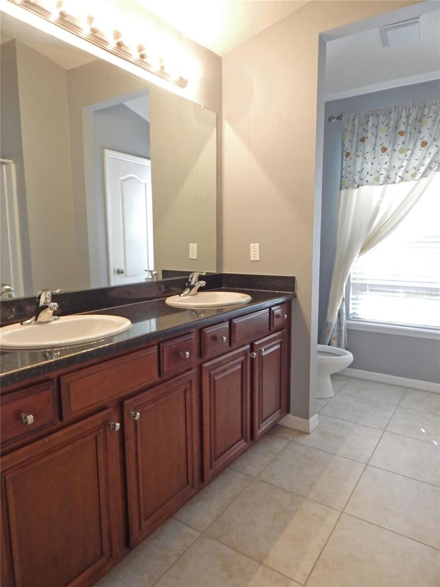 16411 KINGLETRIDGE AVE, LITHIA, FL, 33547