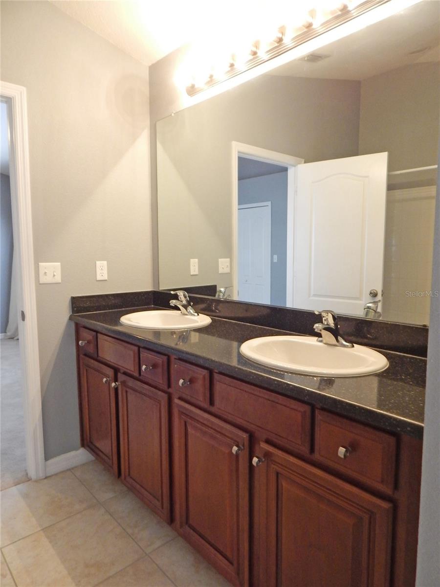 16411 KINGLETRIDGE AVE, LITHIA, FL, 33547