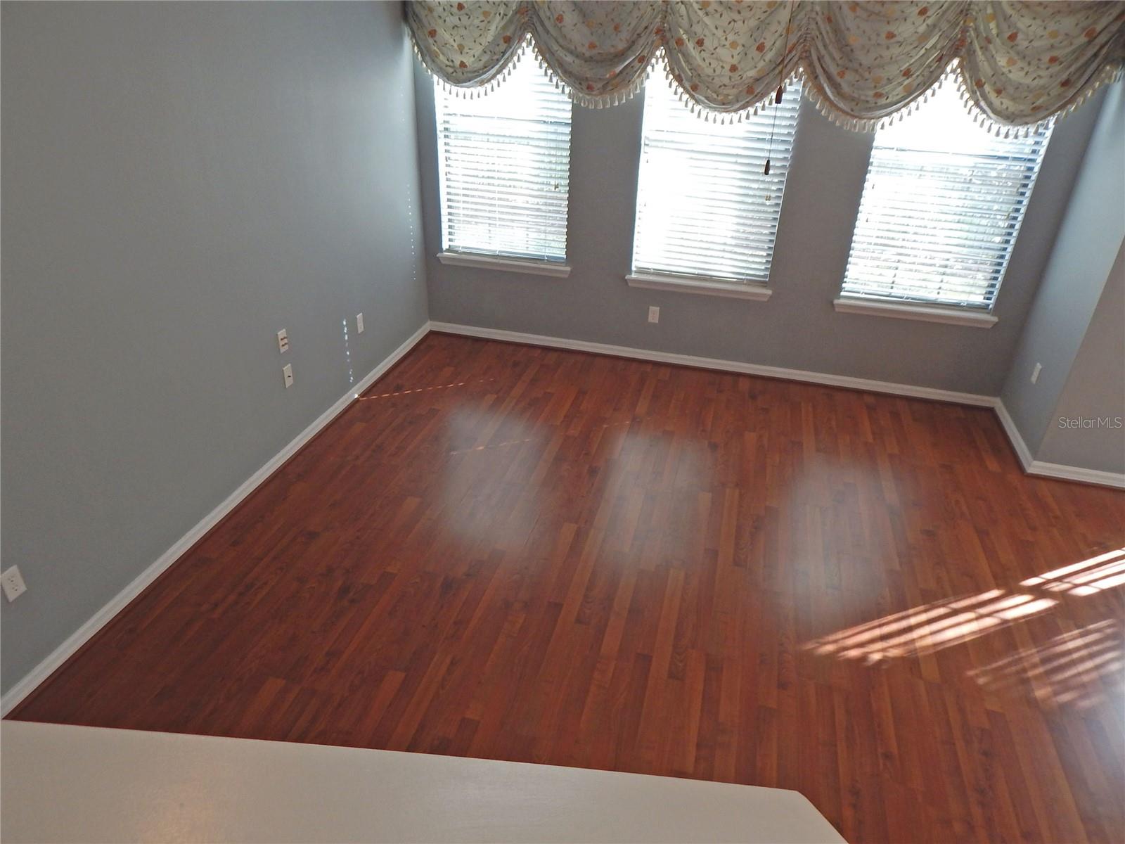 16411 KINGLETRIDGE AVE, LITHIA, FL, 33547