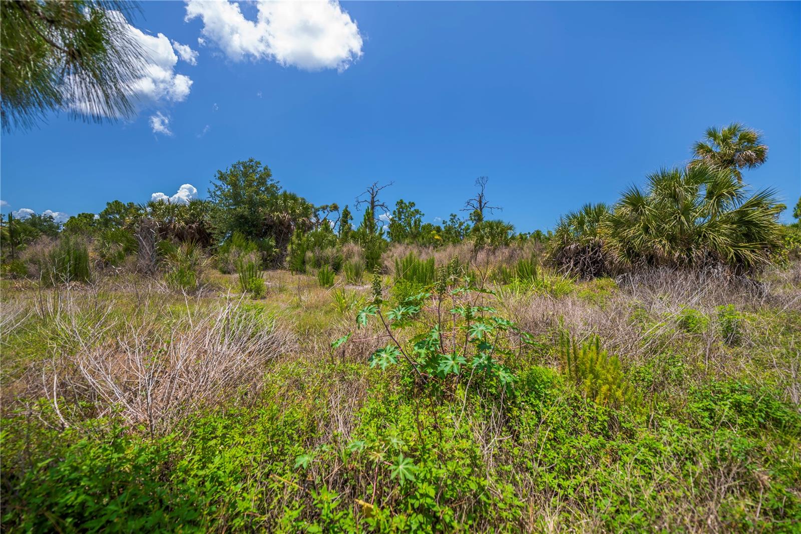 6796 GASPARILLA PINES BLVD #10, ENGLEWOOD, FL, 34224