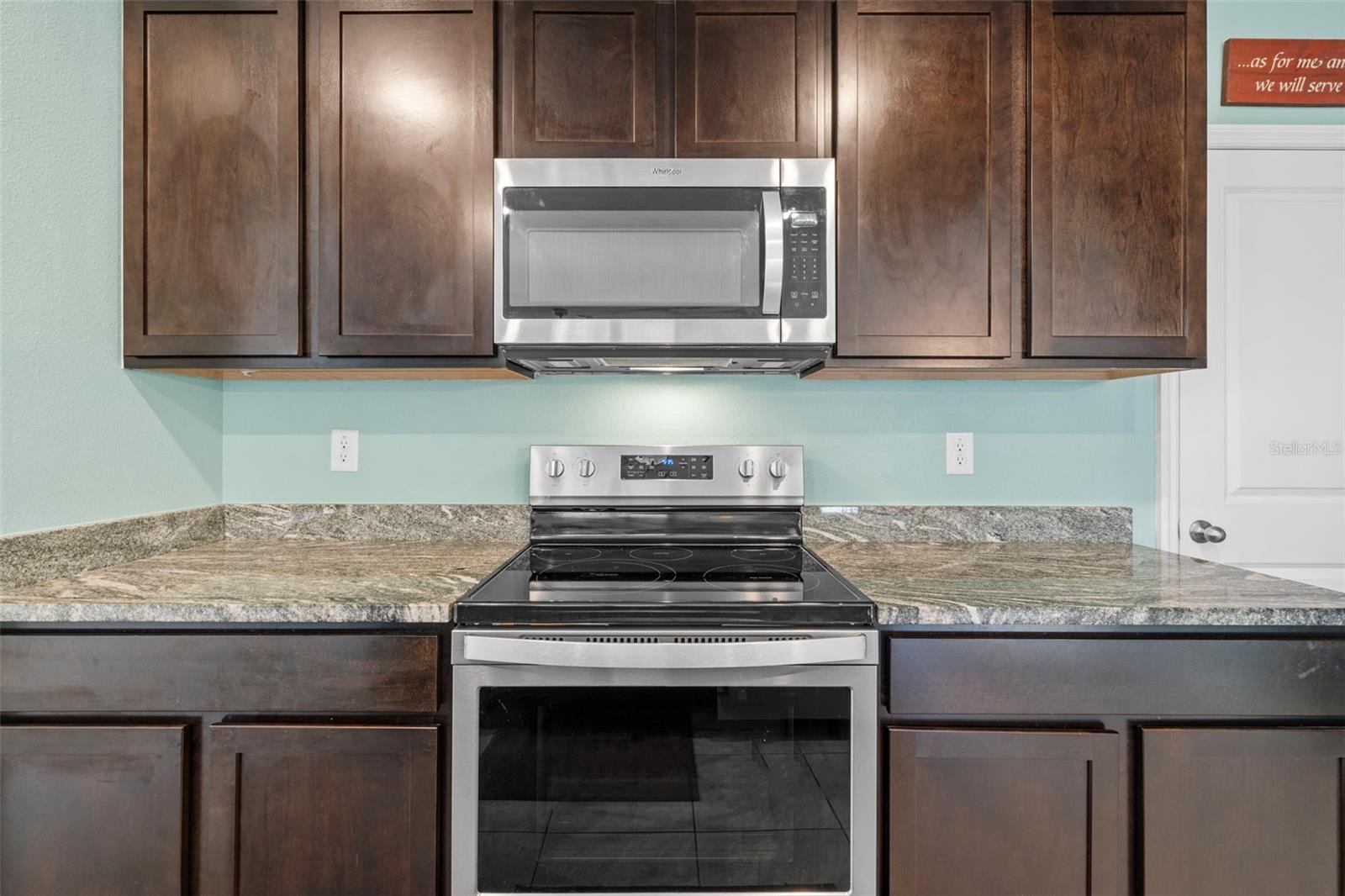 16121 SOFT FERN TRCE, ODESSA, FL, 33556