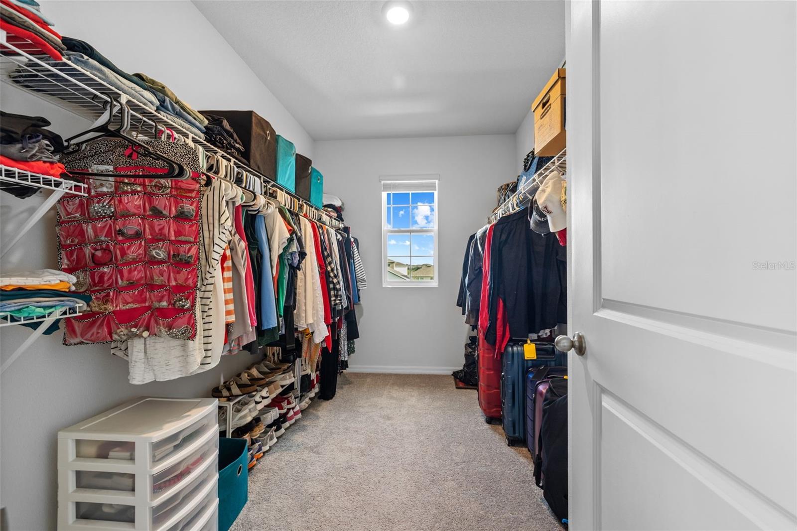 16121 SOFT FERN TRCE, ODESSA, FL, 33556