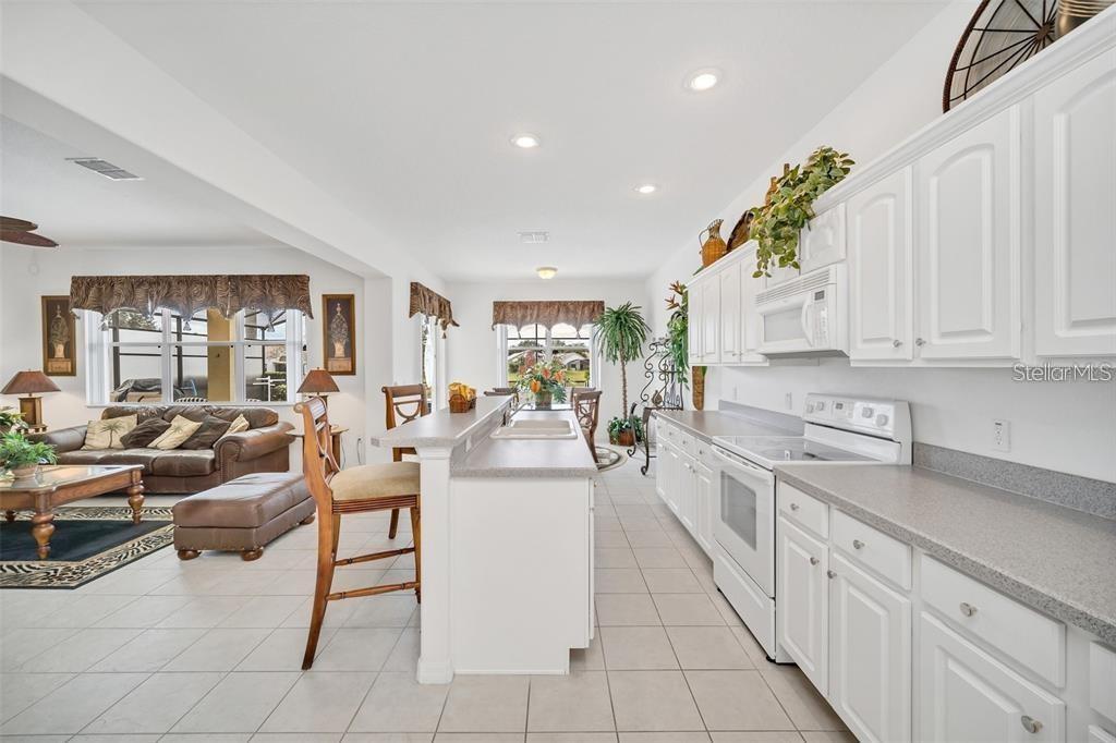 1505 BLUE SKY WAY, CLERMONT, FL, 34714