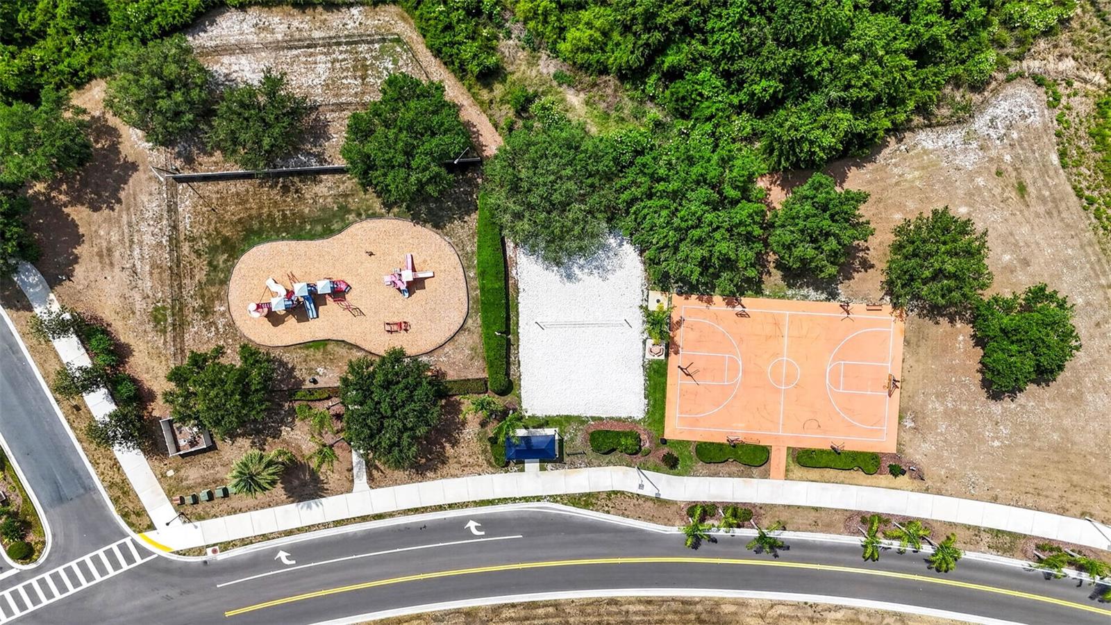 10024 COLDWATER LOOP, LAND O LAKES, FL, 34638