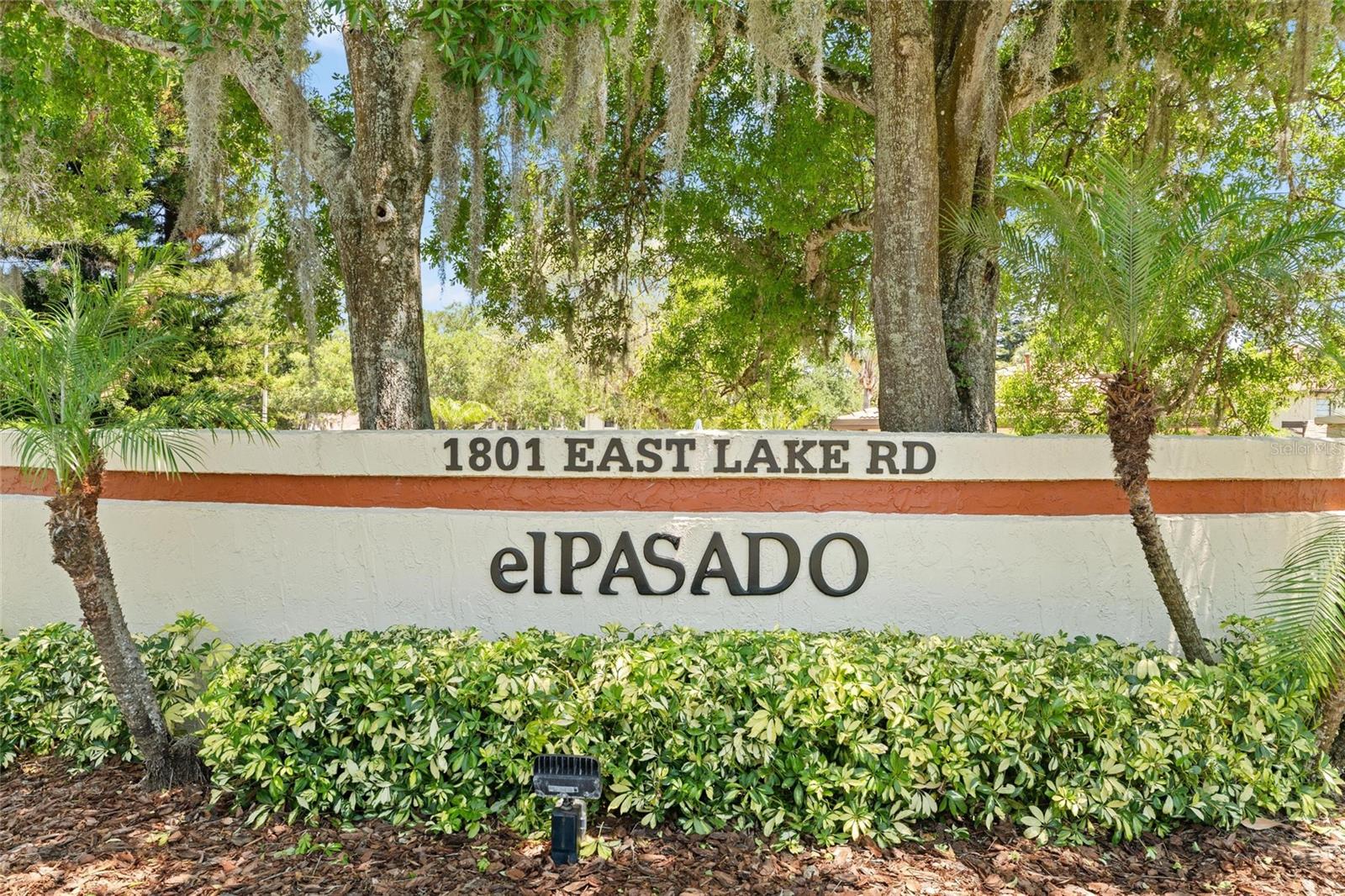 1801 E LAKE RD #4E, PALM HARBOR, FL, 34685