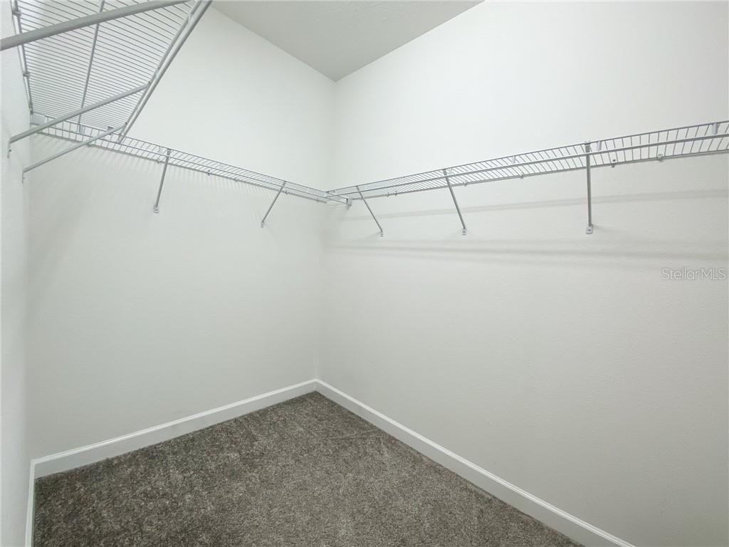 11061 VIGNETTE ALY, WINTER GARDEN, FL, 34787