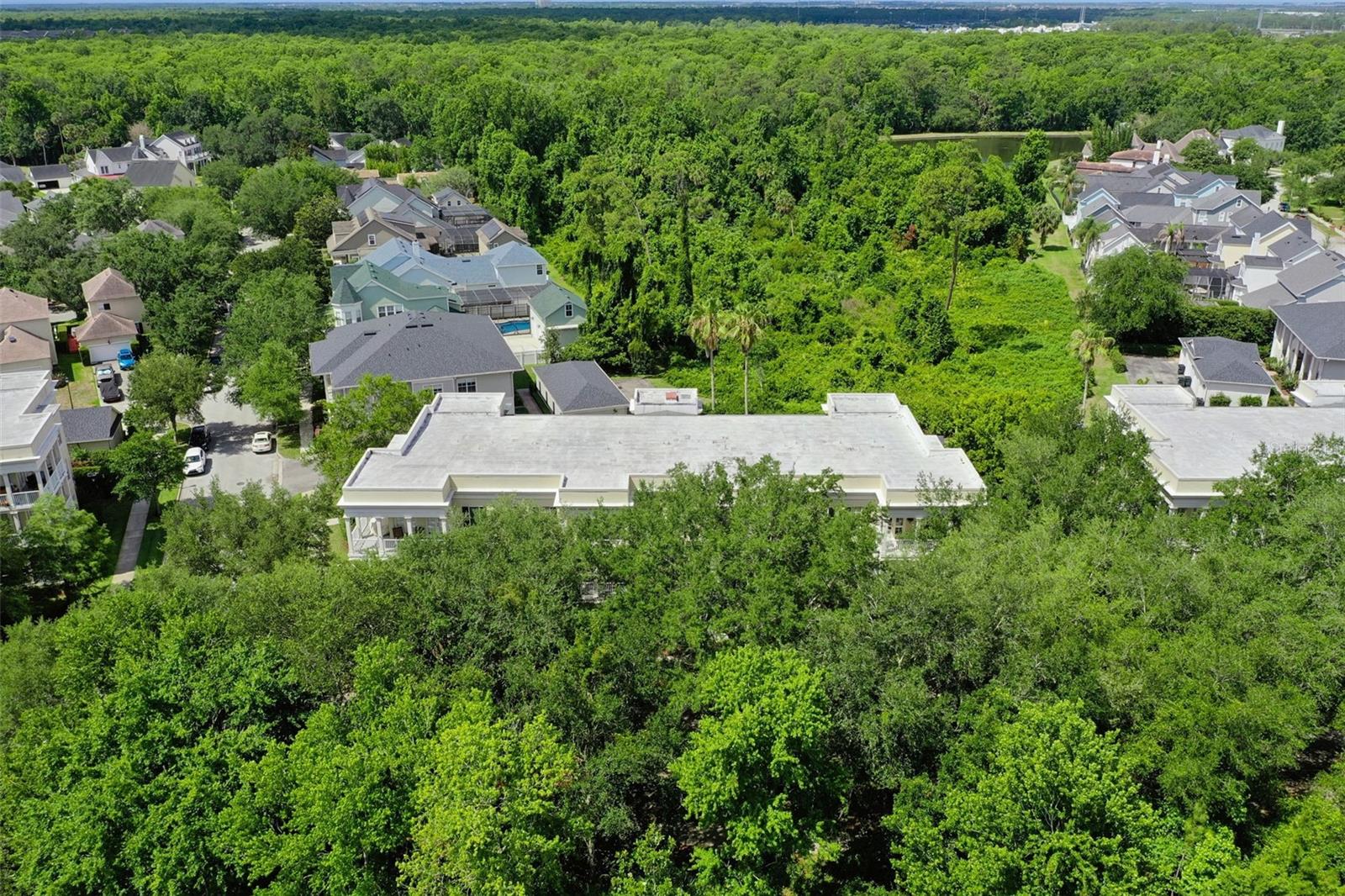 910 SPRING PARK ST #103, CELEBRATION, FL, 34747