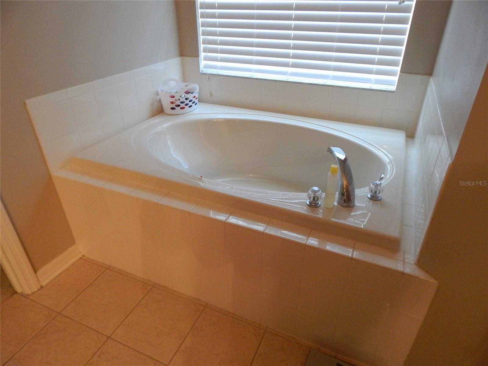 6433 BRIDGECREST DR, LITHIA, FL, 33547