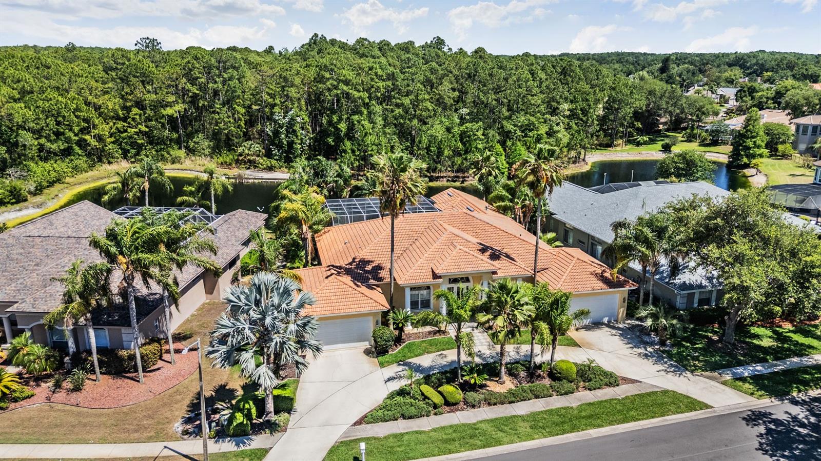 4561 ROANOAK WAY, PALM HARBOR, FL, 34685