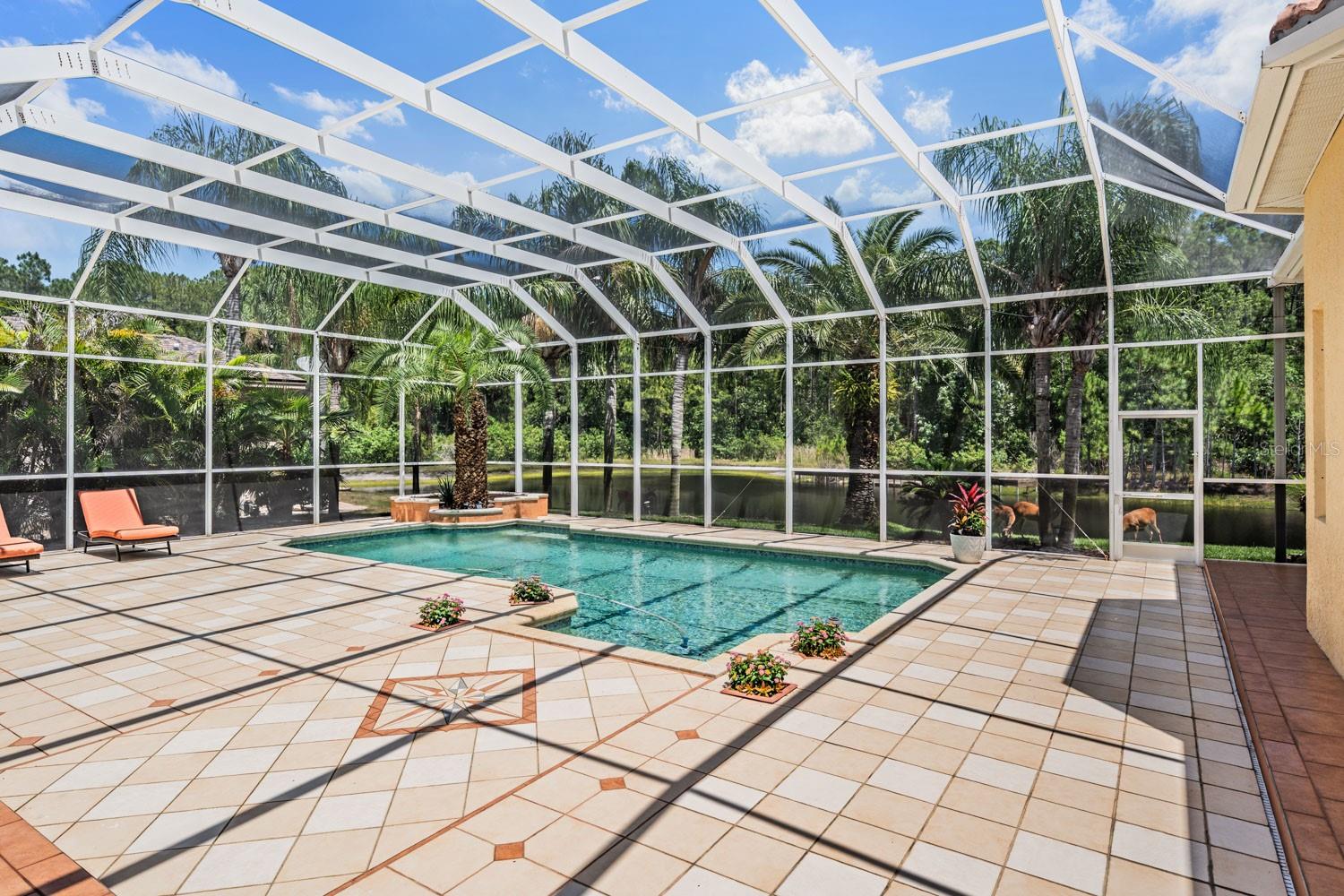 4561 ROANOAK WAY, PALM HARBOR, FL, 34685