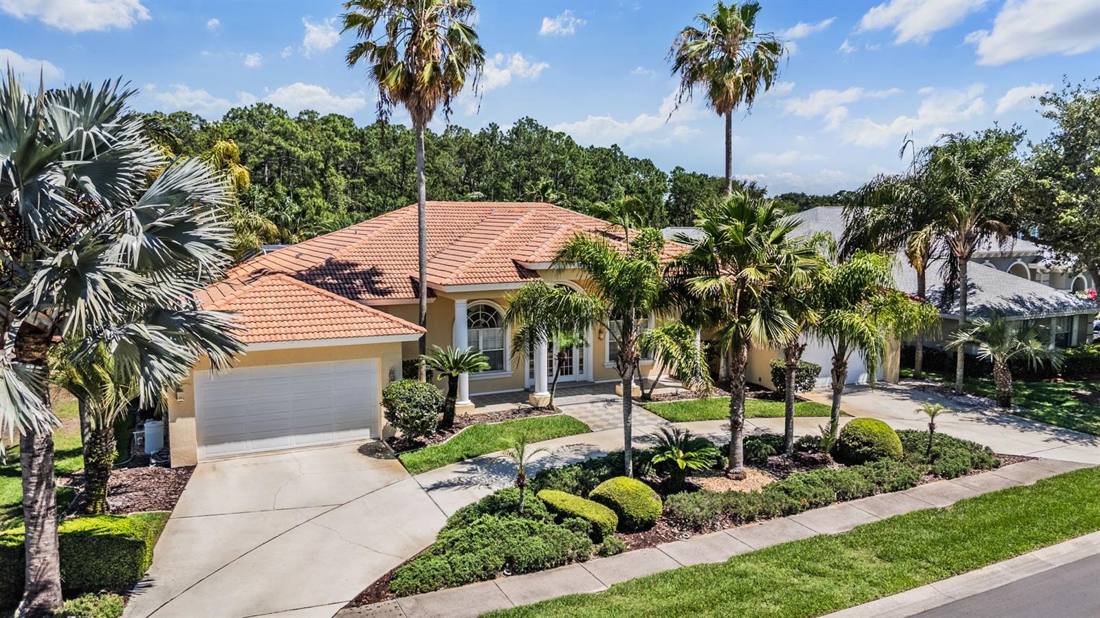 4561 ROANOAK WAY, PALM HARBOR, FL, 34685