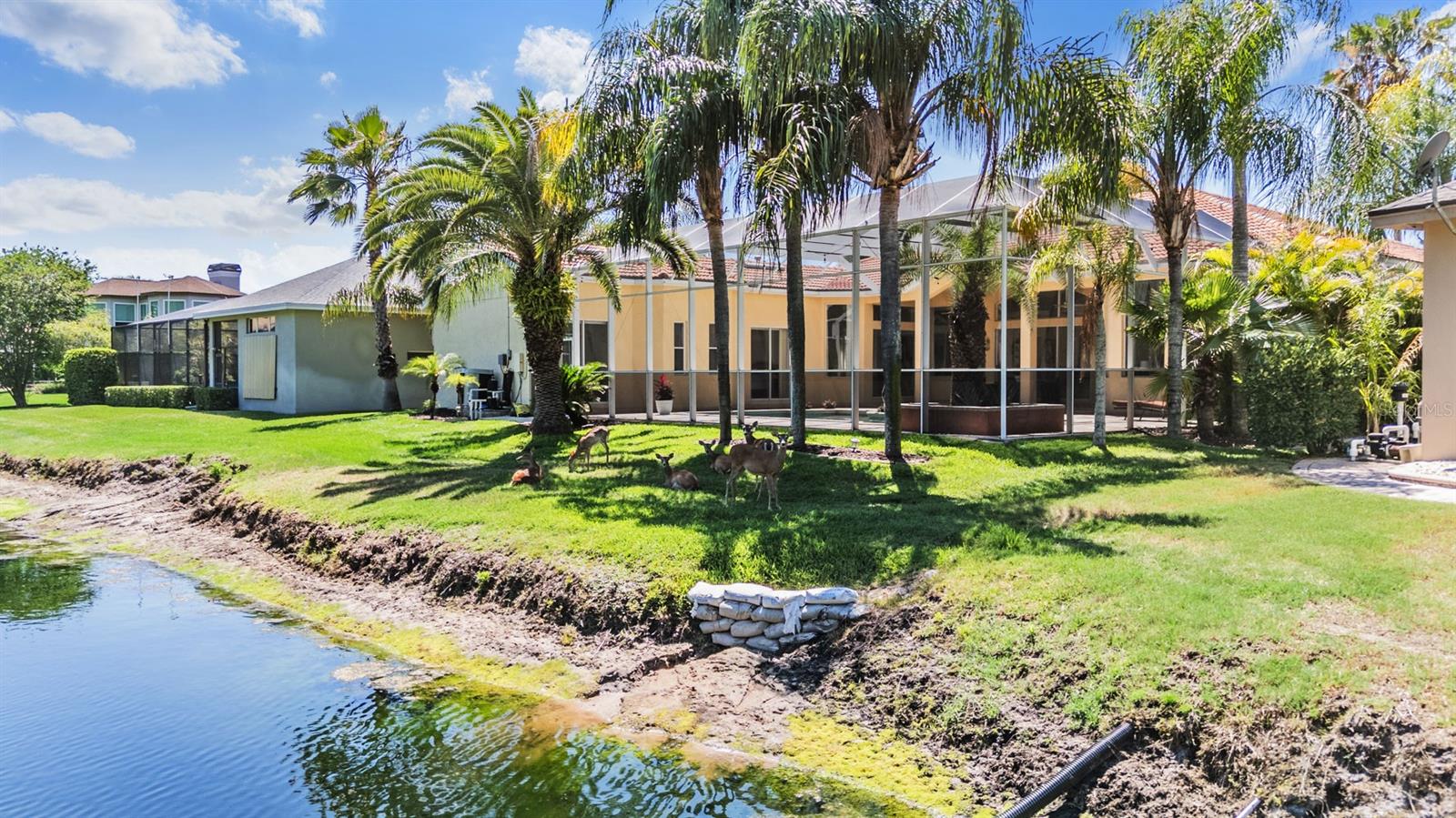 4561 ROANOAK WAY, PALM HARBOR, FL, 34685