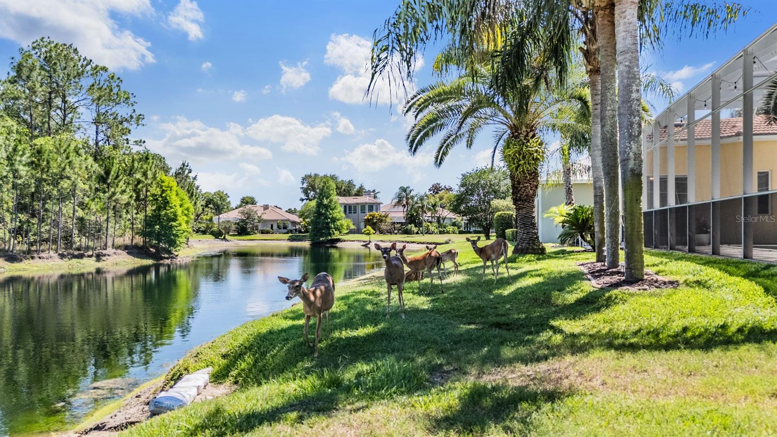 4561 ROANOAK WAY, PALM HARBOR, FL, 34685