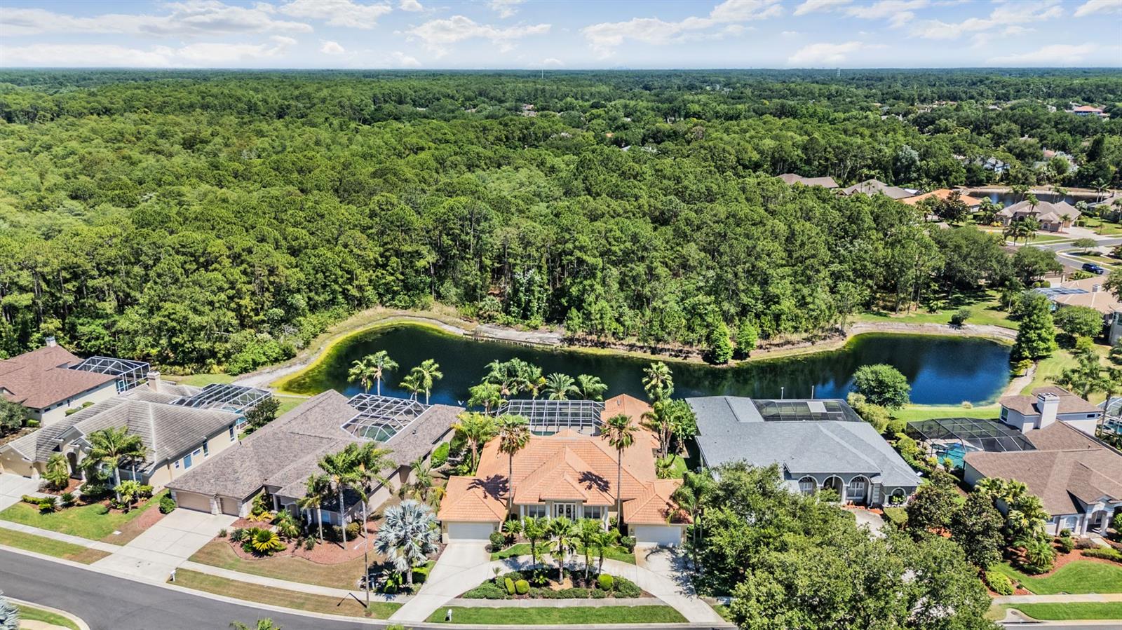 4561 ROANOAK WAY, PALM HARBOR, FL, 34685
