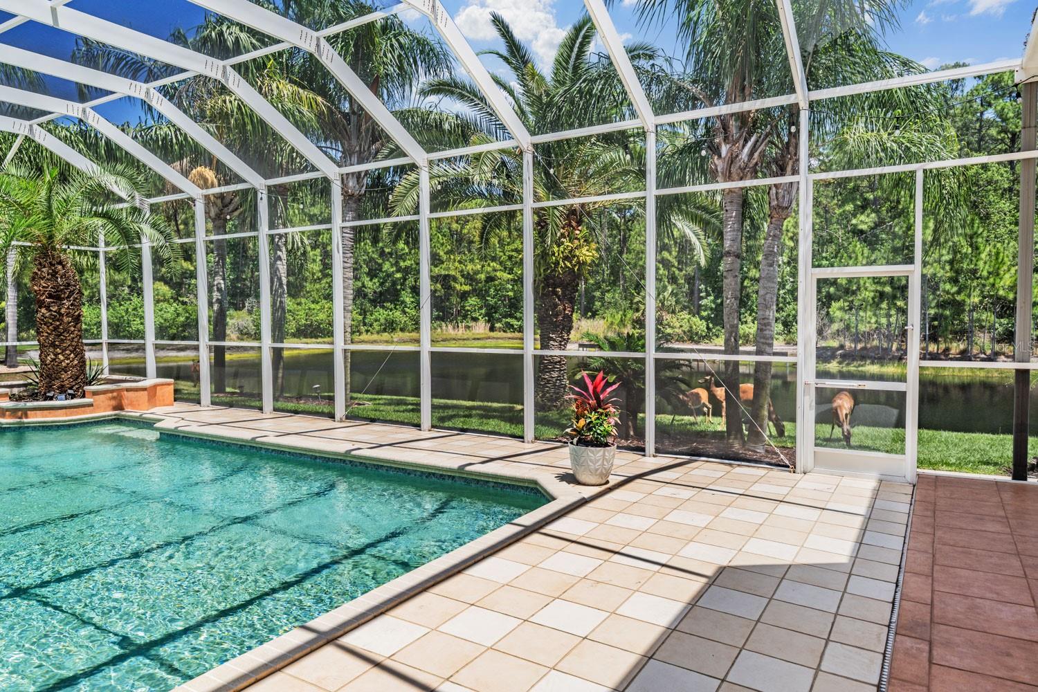 4561 ROANOAK WAY, PALM HARBOR, FL, 34685