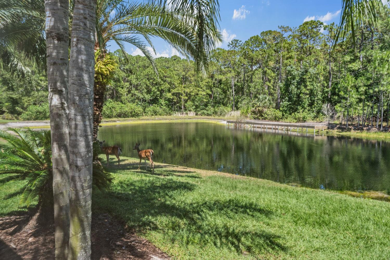 4561 ROANOAK WAY, PALM HARBOR, FL, 34685