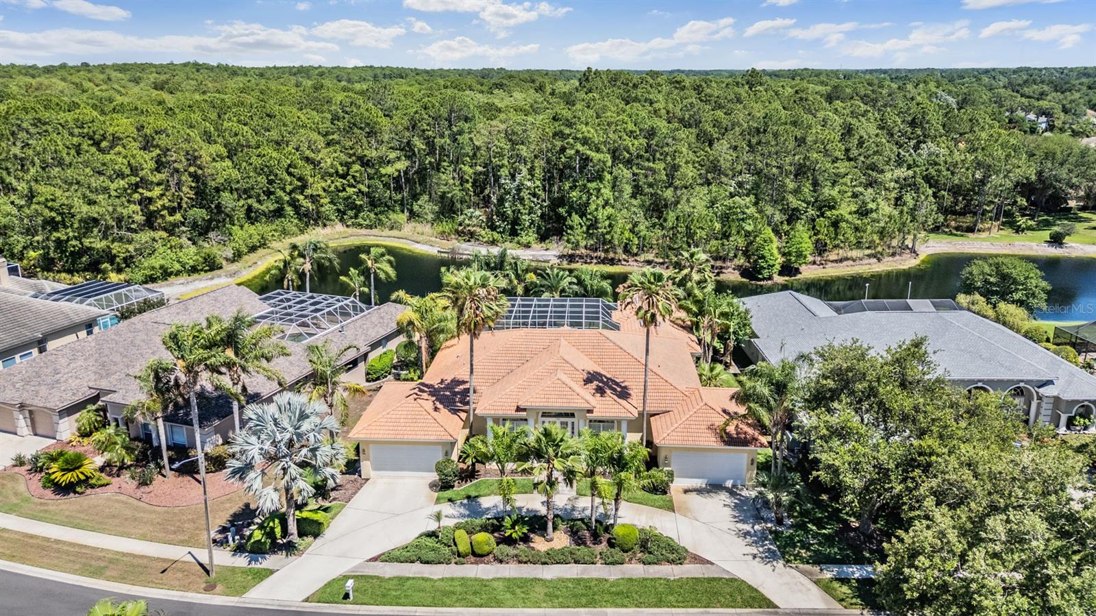 4561 ROANOAK WAY, PALM HARBOR, FL, 34685