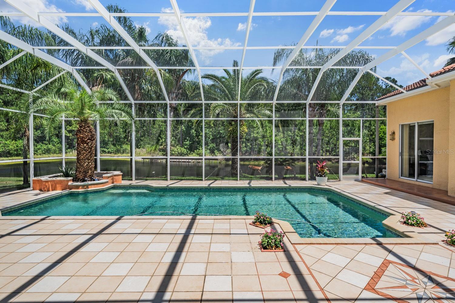 4561 ROANOAK WAY, PALM HARBOR, FL, 34685
